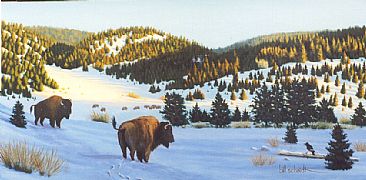 Bison Valley - Bison by Bill Scheidt